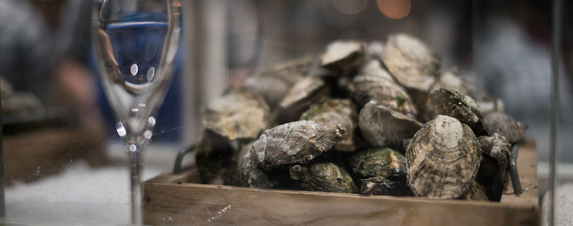 Pasadena Shopping The Idyllic Place